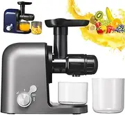 Automatic Slow Masticating Juicer for Home, Cold Press Technology with Wide Feed Trough & Filter, Bpa-Free, Fruit Vegetable Squeezer, DIY Healthy Whole Fruits and Vegetables Gray