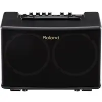 在飛比找PChome24h購物優惠-ROLAND AC40 BK 木吉他專用音箱 黑色款