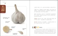 在飛比找誠品線上優惠-大蒜Garlic