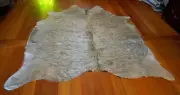 A Stunning Wavy Winter Coat - A Beautiful Charolais Cowhide Rug