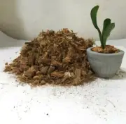 Coconut Husk Chip COCO COIR PEAT Fiber 100% Natural HYDROPONIC GROWING MEDIA NEW