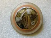 JANN CURTIS One-of-a-Kind Sterling Pin Brooch Real Shells Under Glass or Lucite?