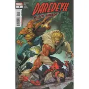 Daredevil Black Armor #2 Marvel Comics First Printing