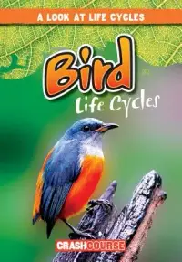 在飛比找博客來優惠-Bird Life Cycles