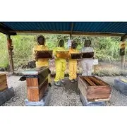 Save 14.10%! Bee Tour in Medellin