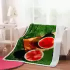 Picnic Delicious Watermelon 3D Warm Plush Fleece Blanket Picnic Sofa Couch