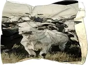 [Diusye] Silk Scarves Cows on Farm Prints Long Chiffon Scarf Wrap Shawl for Women