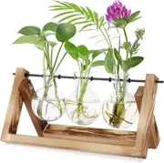 Plant Terrarium Wooden Stand, Desktop Glass Planter Bulb Vase with Retro Solid Wooden Stand