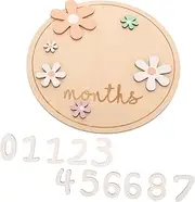 ERINGOGO Infant Milestone Signs Set Baby Monthly Milestones Wooden Circles for Nursery Decor Newborn Photography Accessories
