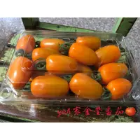 在飛比找蝦皮購物優惠-網室 金瑩番茄 番茄 🍅 小番茄 3斤 6斤