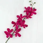 Set of 2 Artificial Purple Dendrobium Orchid Sprays for Home Decor