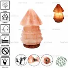 NEW MUSHROOM 2 ELECTRIC HIMALAYAN SALT TABLE LAMP PURIFY ROCK NATURAL IONISER