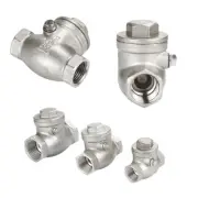 304 Stainless Steel Swing Check Valve Female Thread Non Return Check Valve 1PC