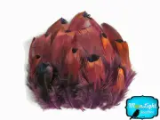 1 Pack - PURPLE Ringneck Pheasant Plumage Loose Feathers 0.07 oz