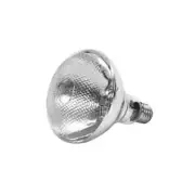 Thunder Group SEJ92001C 250 Watt Uncoated Heat Lamp Replacement Bulb - Clear
