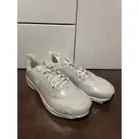 在飛比找蝦皮購物優惠-Nike Air Zoom Pegasus 38 Shiel