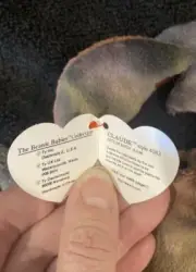 New Old Stock Beanie Babies Ty CLAUDE The Crab All Caps Hang Tag Error
