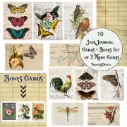 Nature Beauty Journaling Cards, Junk Journal Supplies, Pocket Stuffers