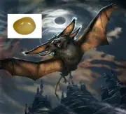 Bat Spirit Pearl a Mythological Pearl got from Chiang Dao Cave