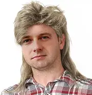 Blonde Mullet wig|Adult Funny Wigs for Men|Pop Rock Wig|Joe Dirt Wig for 70s|80s Wig