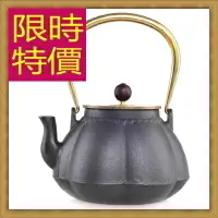 在飛比找樂天市場購物網優惠-日本鐵壺鑄鐵茶壺-泡茶品茗南部鐵器老鐵壺63f34【獨家進口