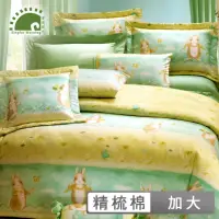 在飛比找momo購物網優惠-【幸福晨光】精梳棉六件式兩用被床罩組 / 帕比兔 台灣製(加