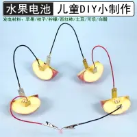 在飛比找樂天市場購物網優惠-水果電池實驗材料包可樂電池銅片鋅片電極土豆發電小學科學實驗裝