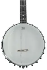 Gold Tone OT-800LN Old Time Long-neck Banjo - Vintage Brown/High Gloss