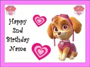 PAW PATROL SKYE Edible Icing Cake Toppers Birthday Cake Decorations (3 Sizes)