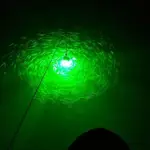 12V水下誘魚燈水底強光釣魚燈捕魚集魚燈筏釣翹嘴魷魚燈綠色