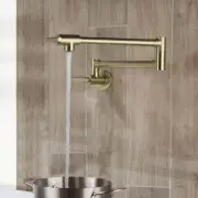 GIVING TREE Pot Filler Faucet Double-Handle Wall Mount Brushed Gold