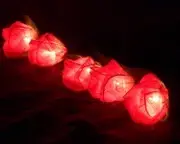 Red Rose battery string fairy light - party night light wedding decoration