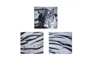 Just Home Set of 3 Printed Blue Eyes Stripes Tiger Wall Canvas