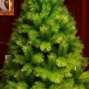 聖誕樹 聖誕節聖誕樹裸樹家用1.2/1.5/1.8/2.1/2.4/3米仿真松針DIY裝飾品 米家