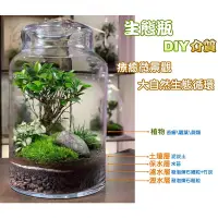 在飛比找蝦皮購物優惠-生態缸 植物生態瓶專用介質 微景觀plant terrari