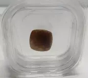 GEM COLLECTOR 6.10ct Rutile Quartz (N)
