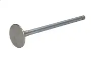 Exhaust valve KOLBENSCHMIDT 171112 for IVECO TRAKKER I 12.9 2004-2007