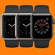 Apple Watch Series 4 Aluminum (44MM)