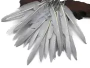 1/4 Lb. Silver Gray Goose Pointers Long Primary Wing Wholesale Feather Costume