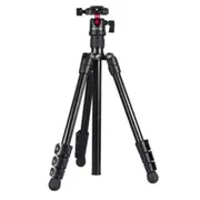 4-Section Folding Legs Metal Tripod Mount with 360 Degree Ball Head for DSLR & Digital Camera