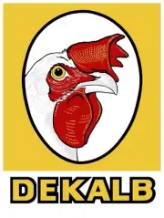 Dekalb Feed, Seed Corn New Metal Sign: 12 x 16" and Free Shipping