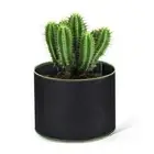 Flower Container Box Nursery Pot Planting Pots Gardening Pot Growing Planter