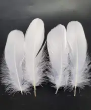 100 Pcs 6-8 Inch Natural Goose Feathers for DIY Crafts Festival Party