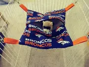 Ferret Hideaway Hammock - NFL Broncos