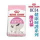 ★法國皇家貓飼料BC34(離乳貓)400g -狗族文化村