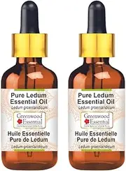 Greenwood Essential Pure Ledum Essential Oil (Ledum groenlandicum) Natural Therapeutic Grade Steam Distilled with Glass Dropper (Pack of Two) 100ml X 2 (6.76 oz)