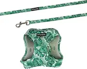Dan & Sam Lahana Step-in Cat Harness & Lead - Small, Comfortable & Secure Fit, Easy to Use, Adjustable & Durable, Ideal for Outdoor Adventures, Ideal for Small Cats & Kittens