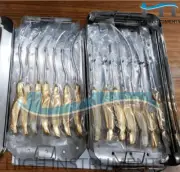 Endoscopic Forehead Lift Dissector Set Of 14Pcs Reusable Instruments