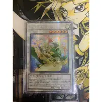 在飛比找蝦皮購物優惠-（隨緣買賣卡舖）遊戲王 1105 DAMA-jp040 韓紙