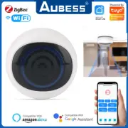 Tuya Zigbee Wifi Human Presence Detector Smart Human Body PIR Sensor Radar